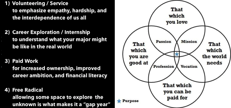 Gap Year Rubric